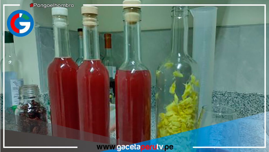 Especialistas del ITP elaboran prototipo de bebida de fruta con alto valor nutricional