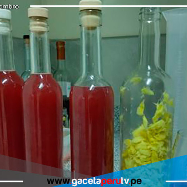 Especialistas del ITP elaboran prototipo de bebida de fruta con alto valor nutricional 