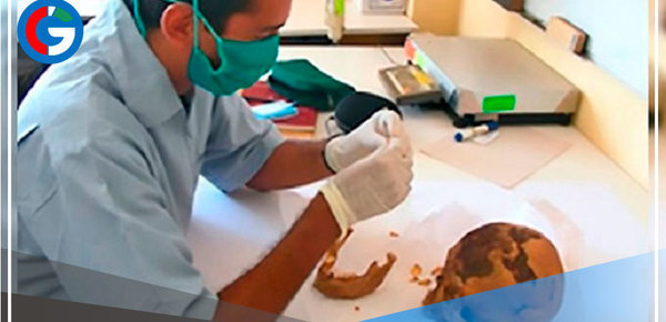 Arquéologos analizan alimentación de antiguos peruanos hallados cerca de Caral 