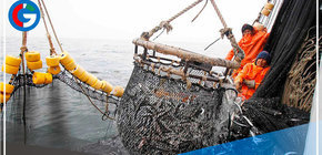 Desde mañana se puede pescar la merluza en zona norte del litoral