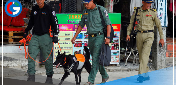 Especialistas en remoción de minas entrenan perros para detectar el covid-19 en Camboya 
