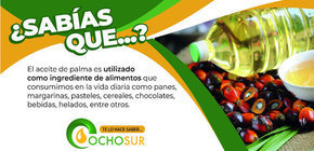 ¿Sabías que el Aceite de Palma es utilizado como ingredientes de alimentos que consumimos en la vida diaria?
