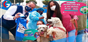 VanCan 2021: más de 52,000 canes fueron vacunados contra la rabia 