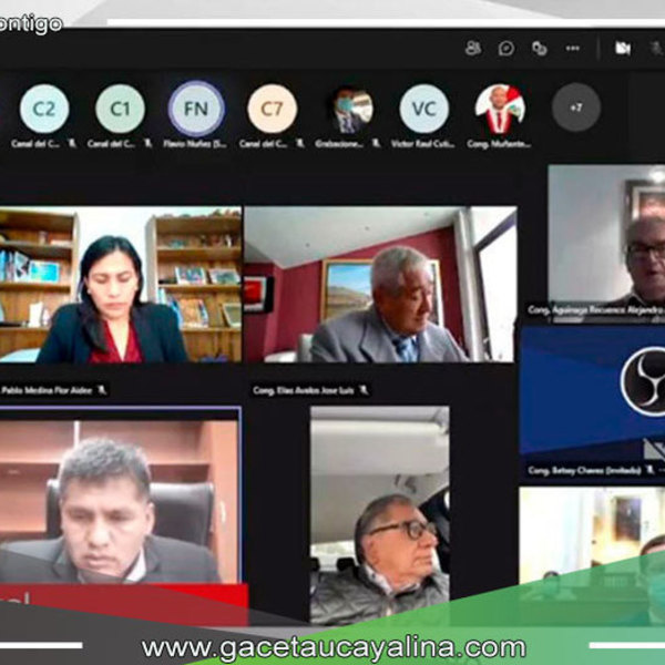 Constitución aprueba dictamen referido a la cuestión de confianza