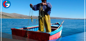  Puno: advierten agotamiento de recursos pesqueros nativos del lago Titicaca 
