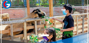 Menores hasta los 12 años ingresarán gratuitamente a clubes zonales 