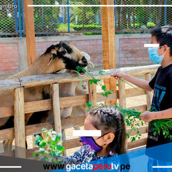 Menores hasta los 12 años ingresarán gratuitamente a clubes zonales 