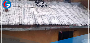 174 viviendas y 8 hectáreas de cultivo dañados por granizada en Pasco