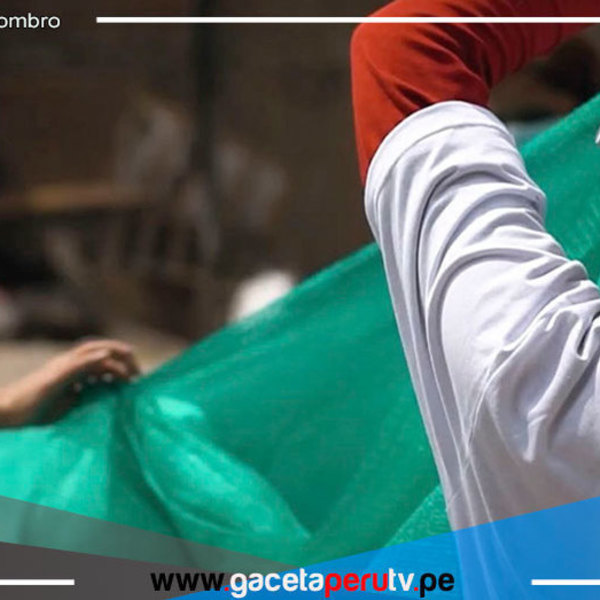 San Juan de Lurigancho: Estudiantes diseñan 'atrapanieblas' para recolectar agua