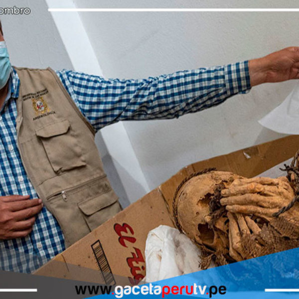 Encuentran momia de unos 1,200 años en Lurigancho Chosica 