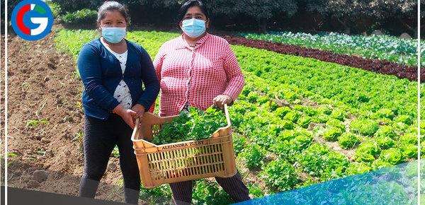 No se exigirá carnet de vacunación en actividades económicas al aire libre 