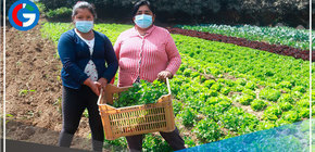 No se exigirá carnet de vacunación en actividades económicas al aire libre 