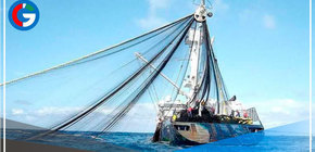 Verifican que atuneras realizan sus labores de pesca dentro del ordenamiento legal 