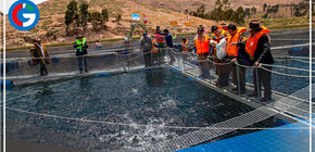 Inauguran módulos demostrativos de jaulas flotantes para crianza de truchas en Puno