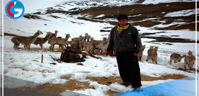 Indeci recomienda preparación ante nieve, granizo y lluvias en la sierra centro y sur