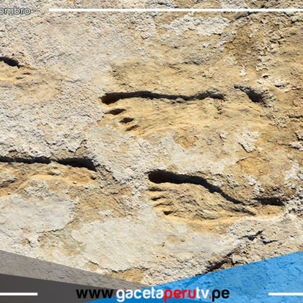 ¿Cuándo llegó el hombre a América? Huellas en Nuevo México reabren debate científico 