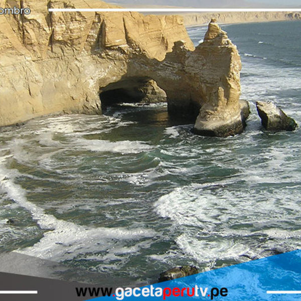 Reserva Nacional de Paracas: visita y disfruta de sus maravillosos atractivos naturales