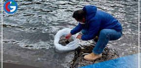 Áncash promueve siembra de 10,000 alevines de trucha en Aija para combatir la anemia 