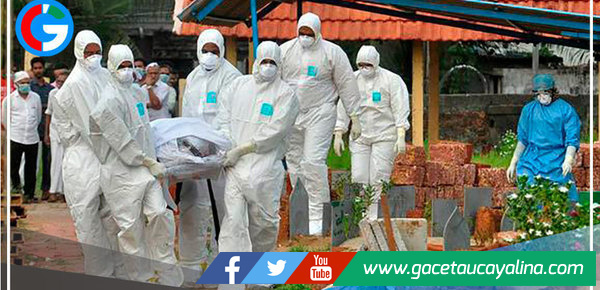 Virus Nipah: ¿qué es, cómo se transmite y cuáles son sus principales síntomas?