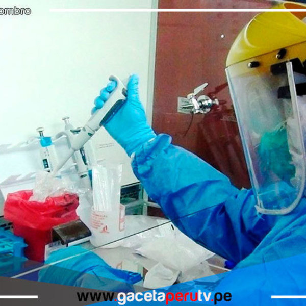 Cajamarca: En últimas 24 horas registró 371 nuevos contagios por covid-19 