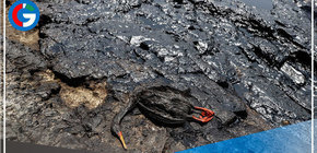 Imágenes de la indignante tragedia