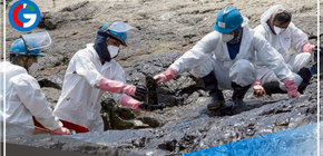 ¿Cómo ayudar y ser voluntario para mitigar impacto en animales y playas?