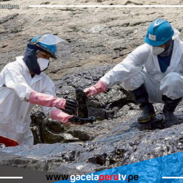 ¿Cómo ayudar y ser voluntario para mitigar impacto en animales y playas?