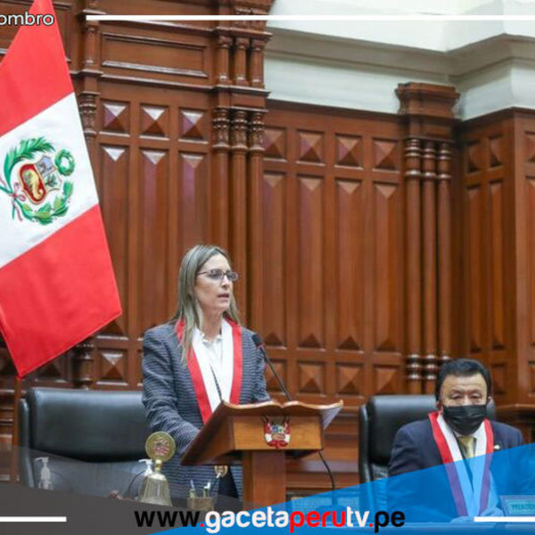 Aprueban por insistencia ley sobre referéndum y causa polémica