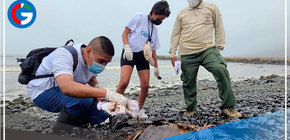 Exposición puede provocar desde dolores de cabeza hasta neumonía 