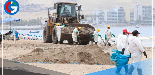 Especialistas internacionales se suman a rescate de fauna marina 