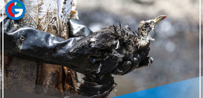 Región Lima denunciará a empresa Repsol por desastre ecológico 