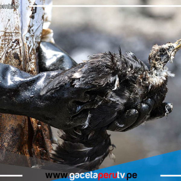 Juez evaluará impedimento de salida del país hoy para directivos de Repsol