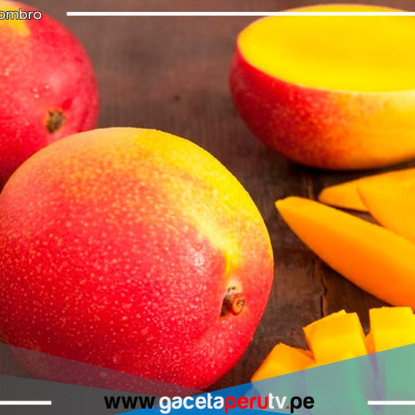 Consume mango, la deliciosa y nutritiva súper fruta del verano 