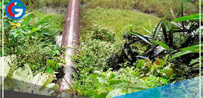 Rotura de oleoducto genera vertido de petróleo en zona amazónica en Ecuador