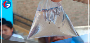 Se incrementan a 14 los casos de dengue en Casma 