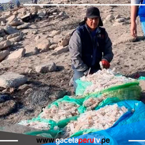 Inmovilizan vacunas contra la influenza halladas en una playa del Callao