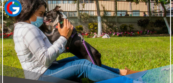 Mascotas ayudan a reducir estrés, soledad y depresión en pandemia
