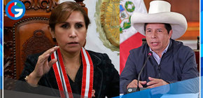 Presentan ante el Congreso denuncia constitucional contra Pedro Castillo