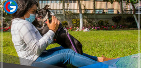 Mascotas ayudan a reducir estrés, soledad y depresión en pandemia