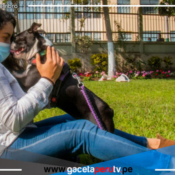 Mascotas ayudan a reducir estrés, soledad y depresión en pandemia