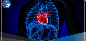 ¿Qué es el síndrome del corazón roto?