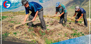 Acceden a crédito barato para fertilizantes en 48 horas