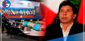 Organización de Estados Americanos respalda a Pedro Castillo al activar la Carta Democrática Interamericana
