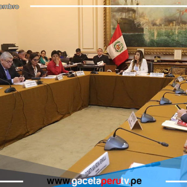 Congreso aprueba admitir denuncia constitucional a Pedro Castillo