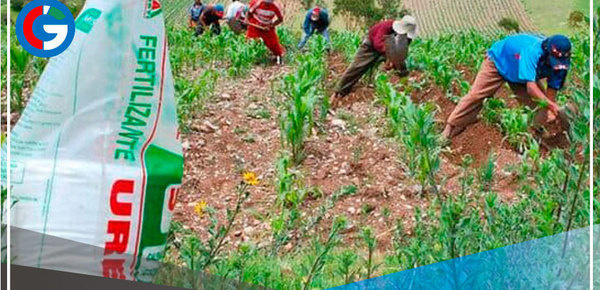 Cumplimiento del cronograma de adquisición y distribución de urea está asegurado