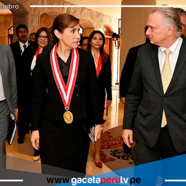 Fiscal de la Nación niega "motivación política" en denuncia constitucional a Pedro Castillo ante Grupo de Alto Nivel de la OEA