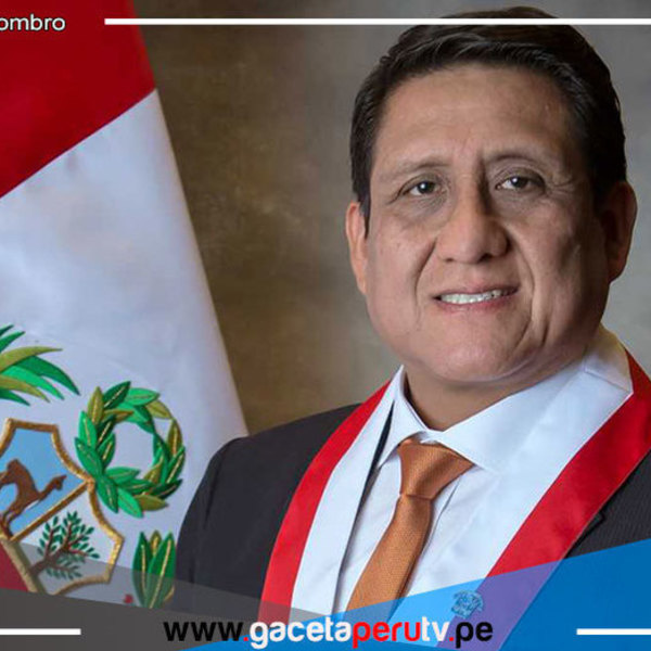 El presidente de la Comisión de Fiscalización se pronunció sobre el pedido de Pedro Castillo de viajar a Tailandia