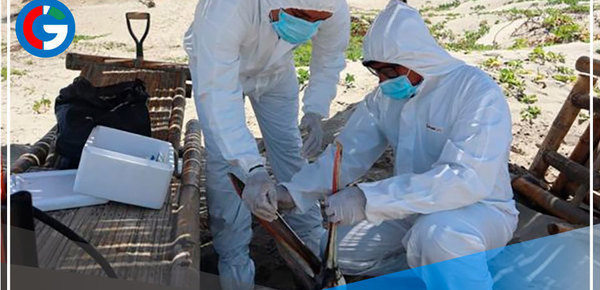 Declaran emergencia sanitaria a nivel nacional por influenza aviar