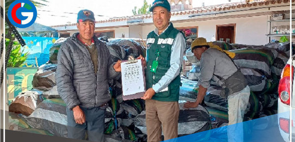 Tacna: Destinan carbón para preparar alimentos de 350 personas vulnerables