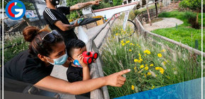 Este viernes 30 de diciembre será día no laborable para el sector público